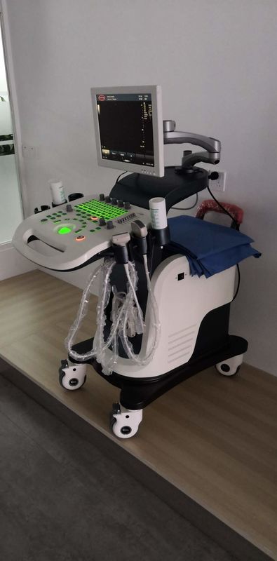 Perangkat Mesin Ultrasound Doppler Warna Resolusi Tinggi 3D 4D Cardiac