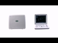 Informasi Produk XF300